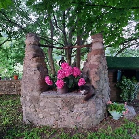 Agriturismo Case In Collina Вольта-Мантована Екстер'єр фото
